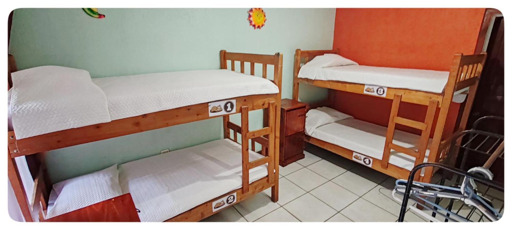 Hotel & Hostel Sloth Backpackers Monteverde Extérieur photo